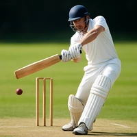 ক্রিকেট জুয়ায় cv66 bet – দ্বিতীয় সংস্করণ